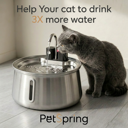 Petspring Cat Water Fountain