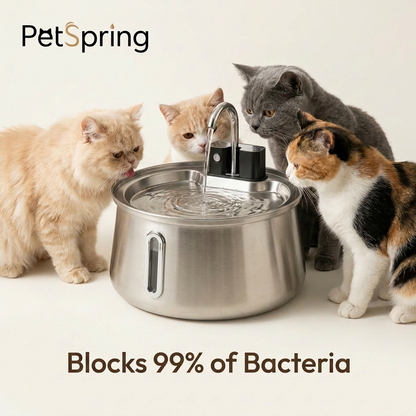 Petspring Cat Water Fountain